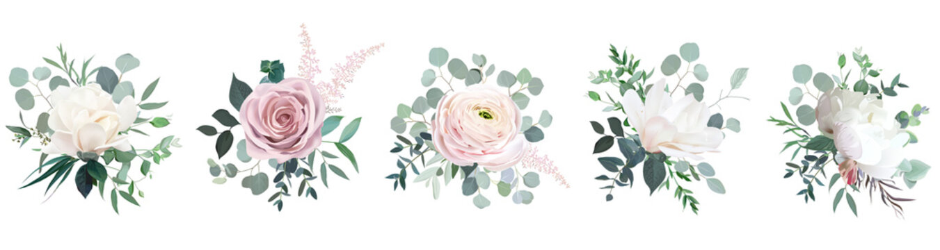 Blush pink rose, ranunculus, camellia, white peony and magnolia vector design bouquets.