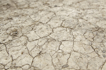 Dry land in the field