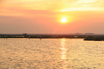 sunset and flamingos