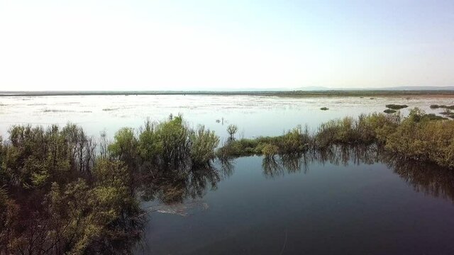 aerial view from drone - spring flood of the river. Trees are in the water. In the distance, on the horizon, the low mountains of the Western Caucasus (South of Russia), a windless sunny day