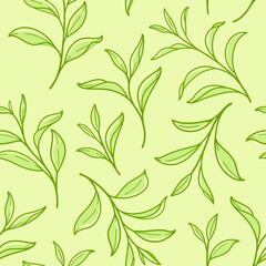 Branch of green tea. Trendy pattern with twig. Vector contour illustration.