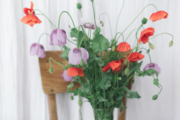 Beautiful red and purple poppies bouquet on wooden chair on background of rustic textile in room. Gathering countryside wildflowers. Common poppy and Opium poppy flowers in vase