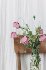 Beautiful poppies bouquet on wooden chair on background of rustic textile in room. Gathering countryside wildflowers, rural still life. Purple opium poppy flowers close up