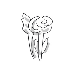 rose  abstract simple vector illustration