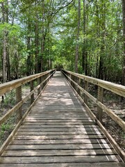 Obraz premium entrance bridge at Blackwater River State Park Florida 
