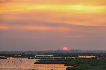 sunset and flamingos