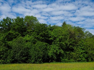 Obraz premium Landleben - grüne Bäume und bewölkter Himmel