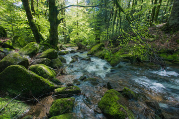 cascades du Rummel dans les Vosges au printemps sur la commune de Lepuix. Un site naturel frais,...