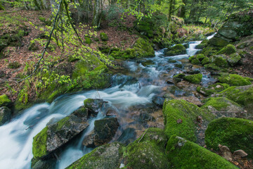 cascades du Rummel dans les Vosges au printemps sur la commune de Lepuix. Un site naturel frais,...