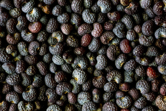 Closeup of poppy seeds 