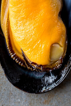Closeup if black shelled mussels