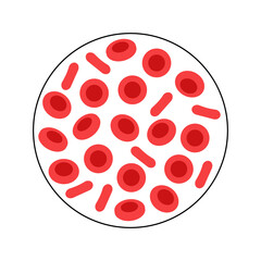 Blood structure concept