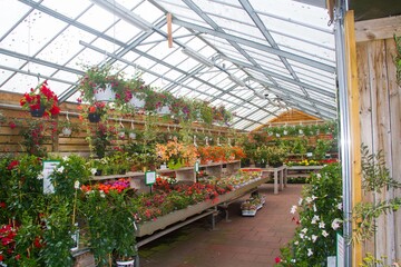 Cross section of beautiful flower shop 