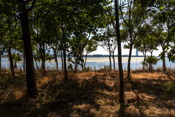 Fototapeta na wymiar View of the lagoon from Izmir Kent forest