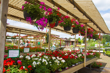 Fototapeta na wymiar Cross section of beautiful flower shop 