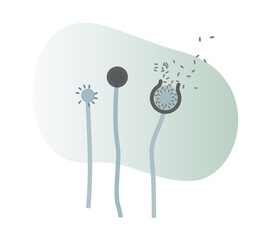 Mucor Fungus Spores - Illustration