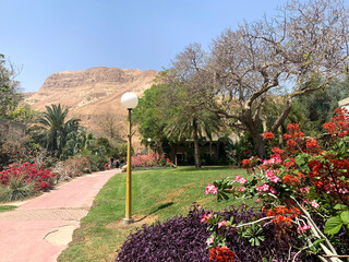 Ein Gedi Botanical Garden on the shores of the Dead Sea