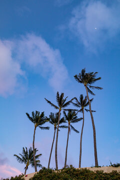 Travel Images of Hawaii 