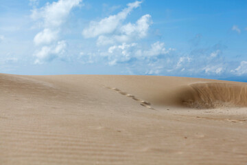 desert sand dunes background with copy space