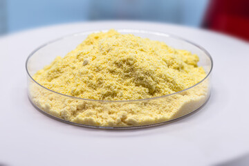 sulfur powder in petri dish, chemical substance for industrial use