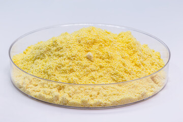 sulfur powder in petri dish, chemical for industrial use, isolated white background.