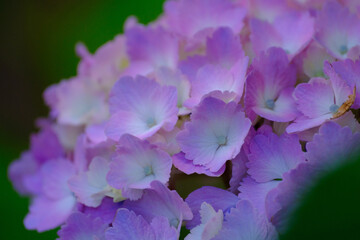 5 858 Regale Wall Murals Canvas Prints Stickers Wallsheaven