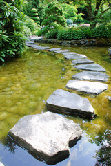 Stepping Stones in Japanese Garden