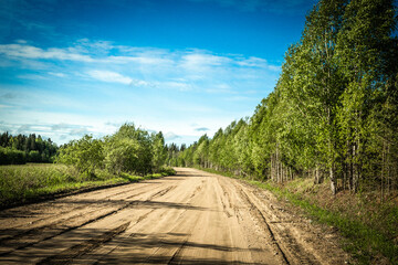 Fototapeta na wymiar The road among the Karelian taiga. Pine forest on the side of the road. Trip to Karelia. Highway among the trees. Driving on a trip to beautiful places. Karelia. Day.