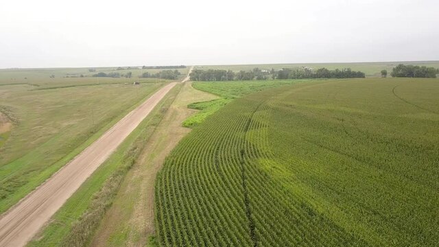 Aerial Forward Shot Of Walkway Amidst Green Landscape In Field Against Clear Sky - Oakley, Kansas