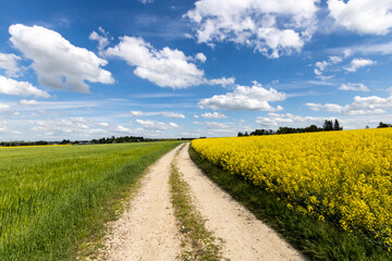 Wiosenny krajobraz, kontrast, wiejska droga