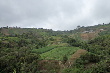 Landscape and fields in tropical mountains