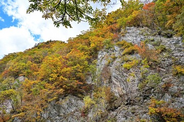 Fototapeta na wymiar 青空バックに見るちょうど見頃の定山渓の紅葉情景＠北海道