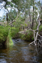 creek queensland Australia 