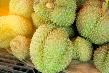 Group of fresh durians for sale in the market.