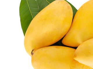 Mango Nam Dok Mai นn a white background