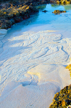 low tide at the beach