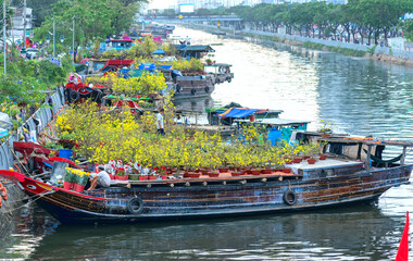 Fototapeta na wymiar Flowers boat at flower market along canal wharf. This place Farmers sell apricot blossom and other flowers on Lunar New Year in Ho Chi Minh city, Vietnam