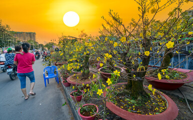Bustle of locals flowers at flower market sunset sky, buying buy flowers for decoration purpose the house on Lunar New Year in Ho Chi Minh City, Vietnam.