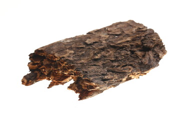 Pine bark on a white background