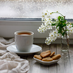 Cup of tea or coffee and cookikes in shape of hearts on window board, drops on glass after rain. Spring bird cherry tree branches with white flowers. Square instagram format, side view, copy space
