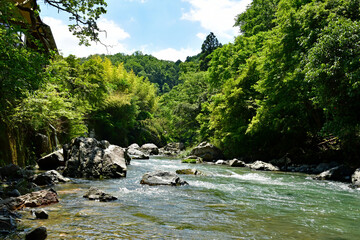 新緑の摂津峡渓谷