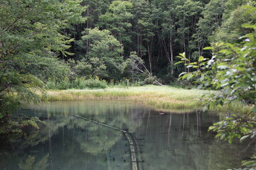 志賀高原の夏。高原の沼。
