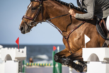 Horse Jumping, Equestrian Sports, Show Jumping themed photo.