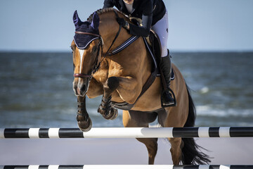 Horse Jumping, Equestrian Sports, Show Jumping themed photo.