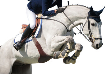 Horse Jumping, Equestrian Sports, Show Jumping themed photo.
