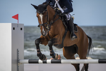 Horse Jumping, Equestrian Sports, Show Jumping themed photo.