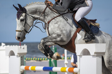 Horse Jumping, Equestrian Sports, Show Jumping themed photo.