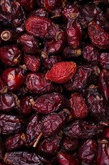 Dry rosehip berries.