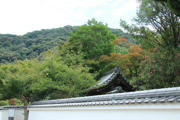 日本の郊外の家(瓦屋根と白壁の塀)