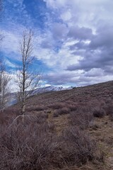 Obraz premium Lone Peak landscape view spring from Mount Mahogany trail, Wasatch Front Rocky Mountains, by Orem and Draper, Utah. United States. USA